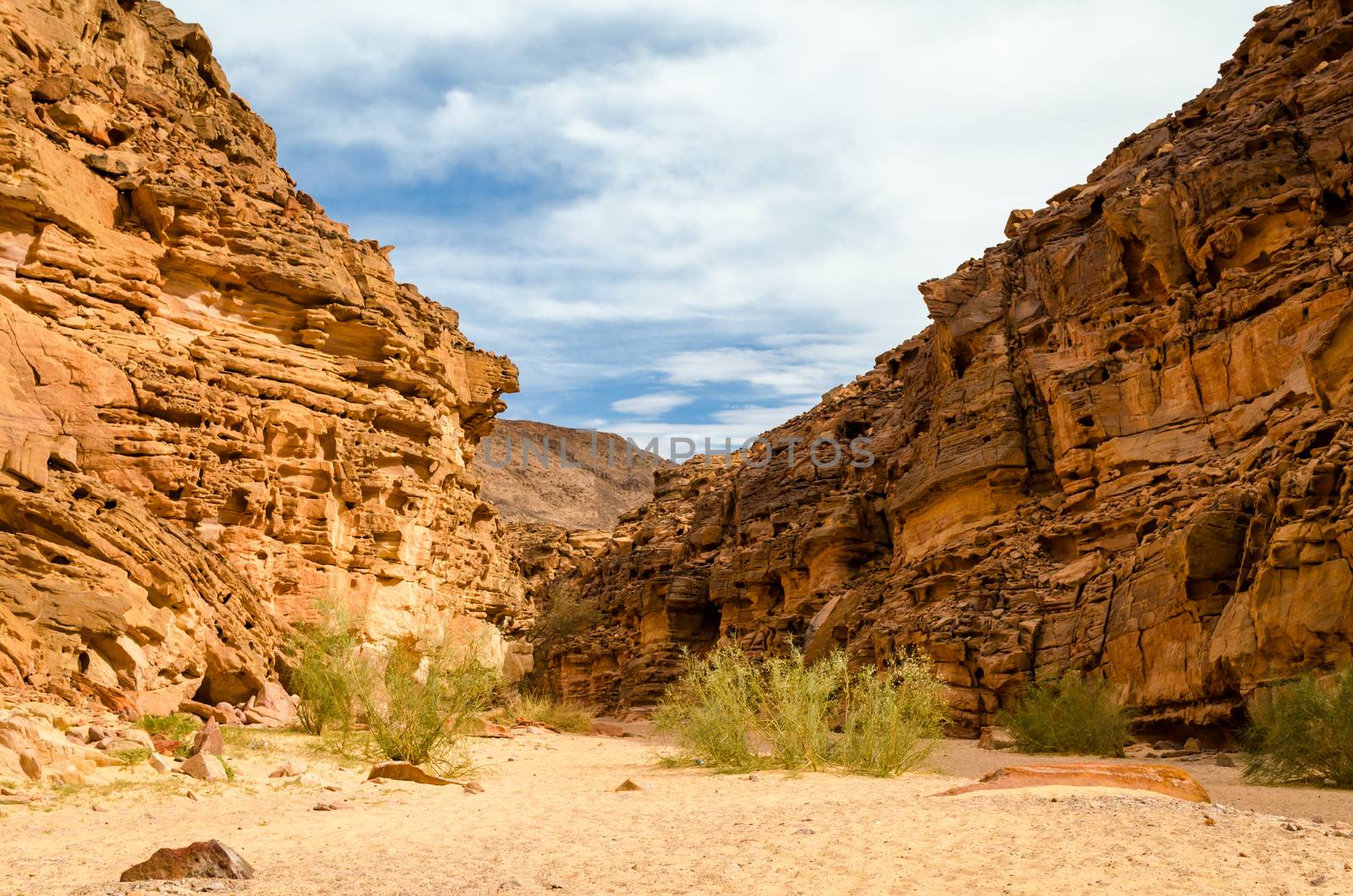 colored canyon in the desert in Egypt