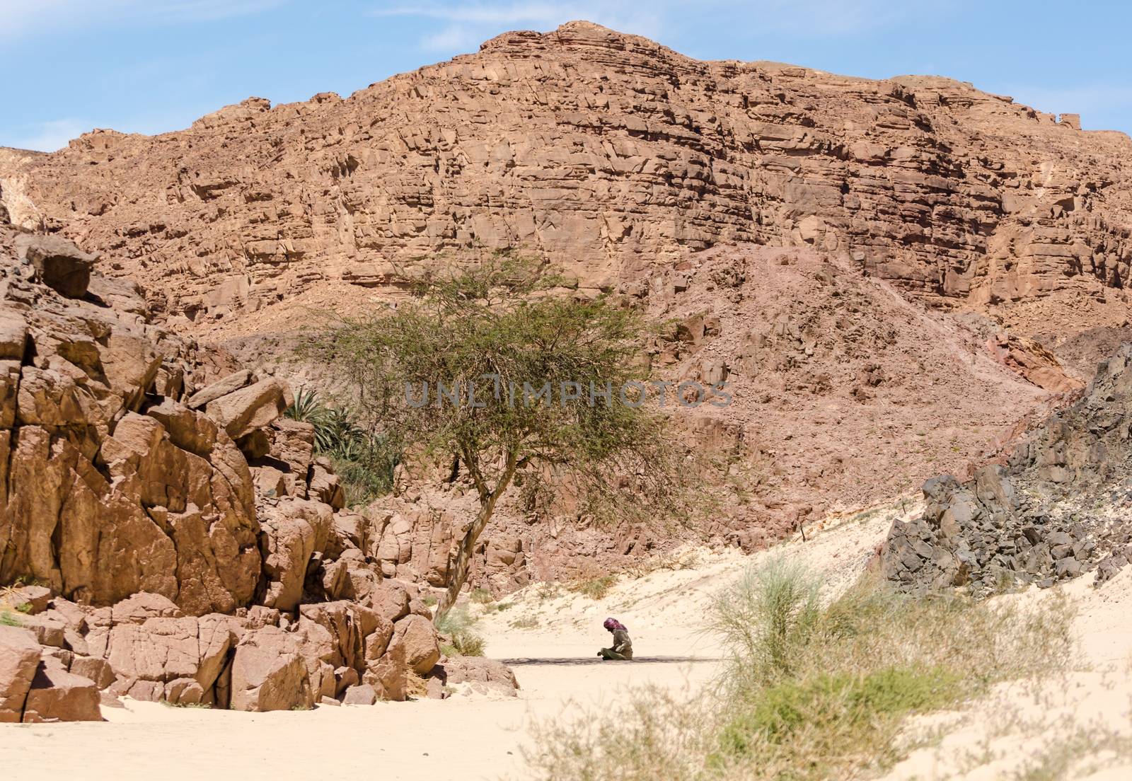 Bedouin prays sitting on the sand in the shade of a tree in the desert against the backdrop of mountains