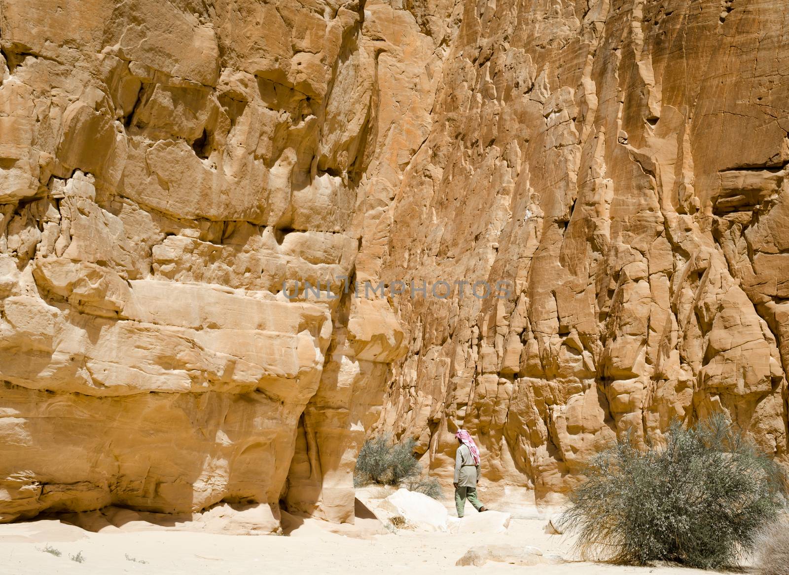 Bedouin walks among the rocks in a desert canyon in Egypt Dahab