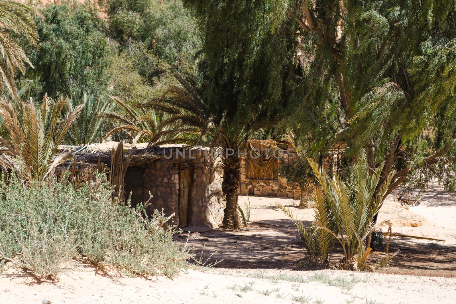 dwelling bedouin in an oasis in the desert among the mountains in Egypt Dahab South Sinai