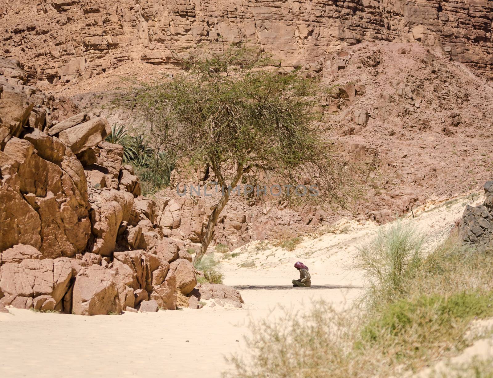 Bedouin prays sitting on the sand in the shade of a tree in the desert against the backdrop of mountains