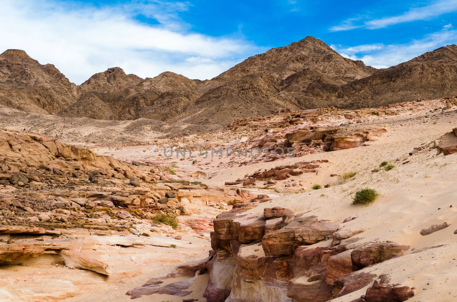 desert canyon on a background of mountains and blue sky with white clouds