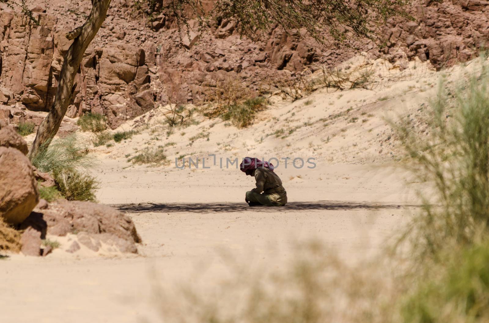 Bedouin prays sitting on the sand in the shade of a tree in the desert against the backdrop of mountains