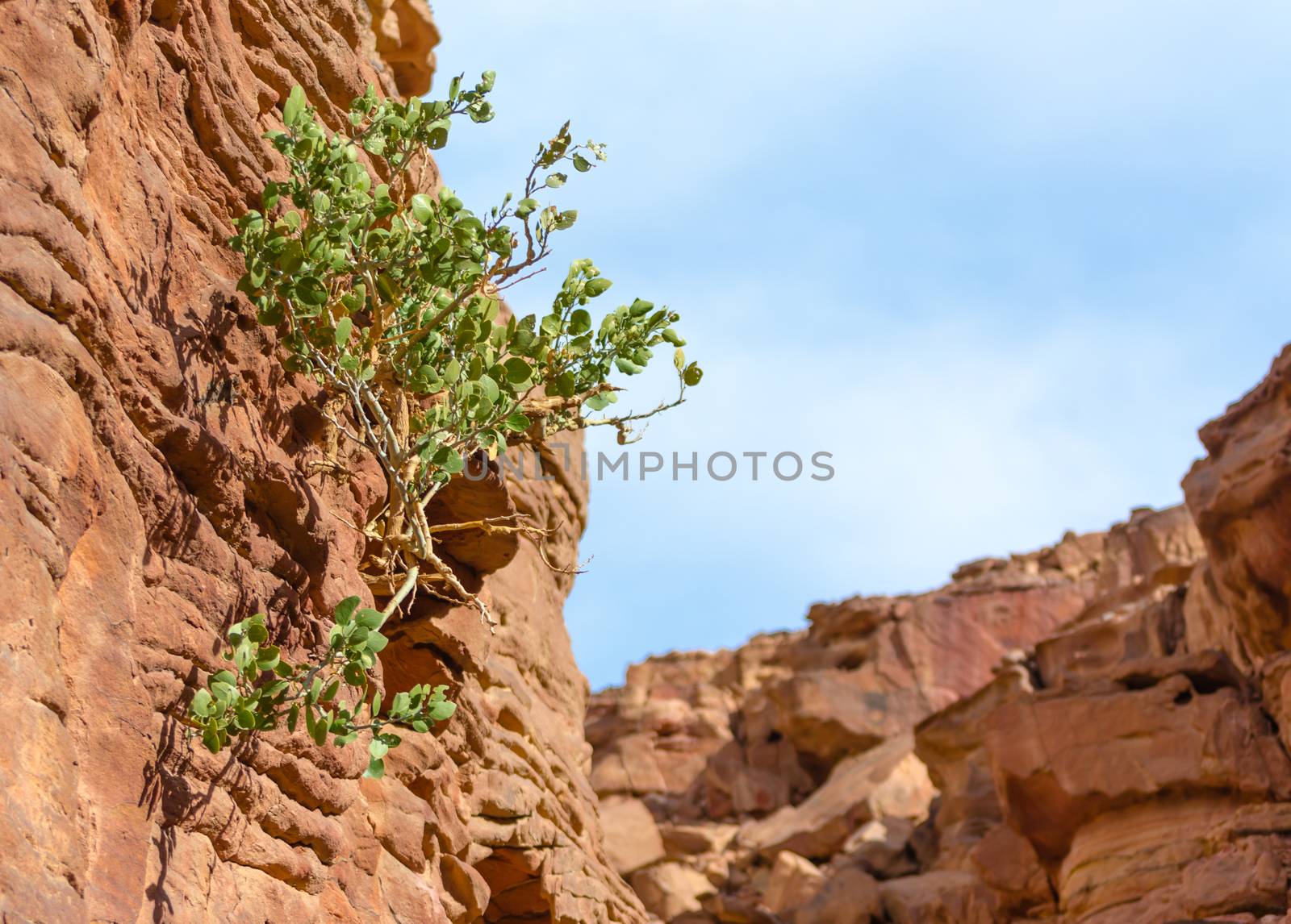 colored canyon in the desert in Egypt
