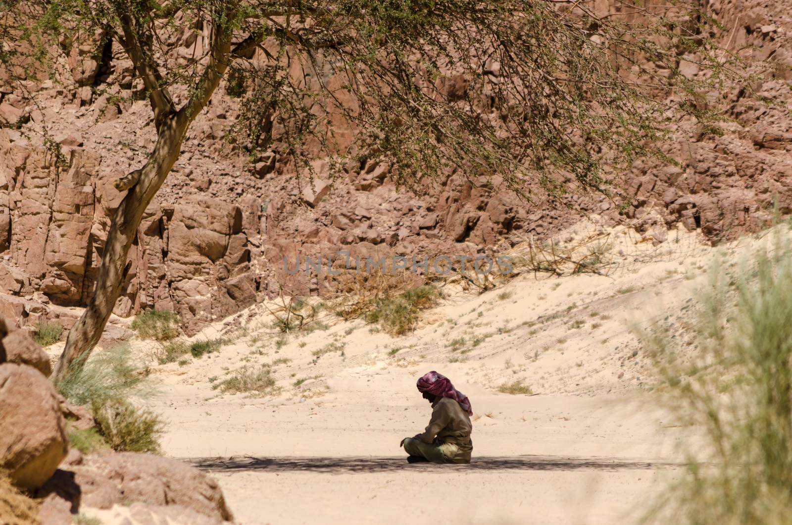 Bedouin prays sitting on the sand in the shade of a tree in the desert against the backdrop of mountains