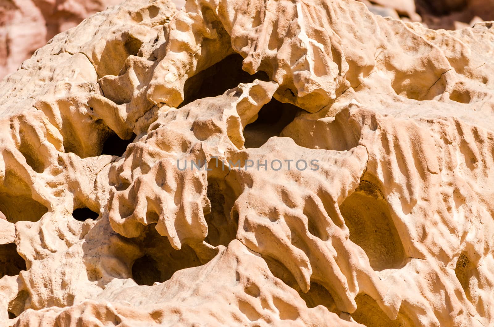 stone rock texture closeup
