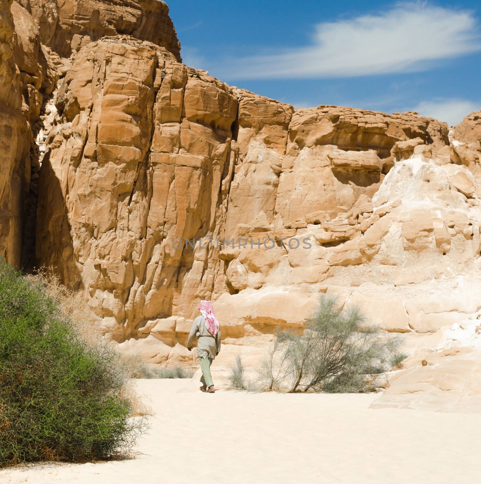 Bedouin walks among the rocks in a desert canyon in Egypt Dahab