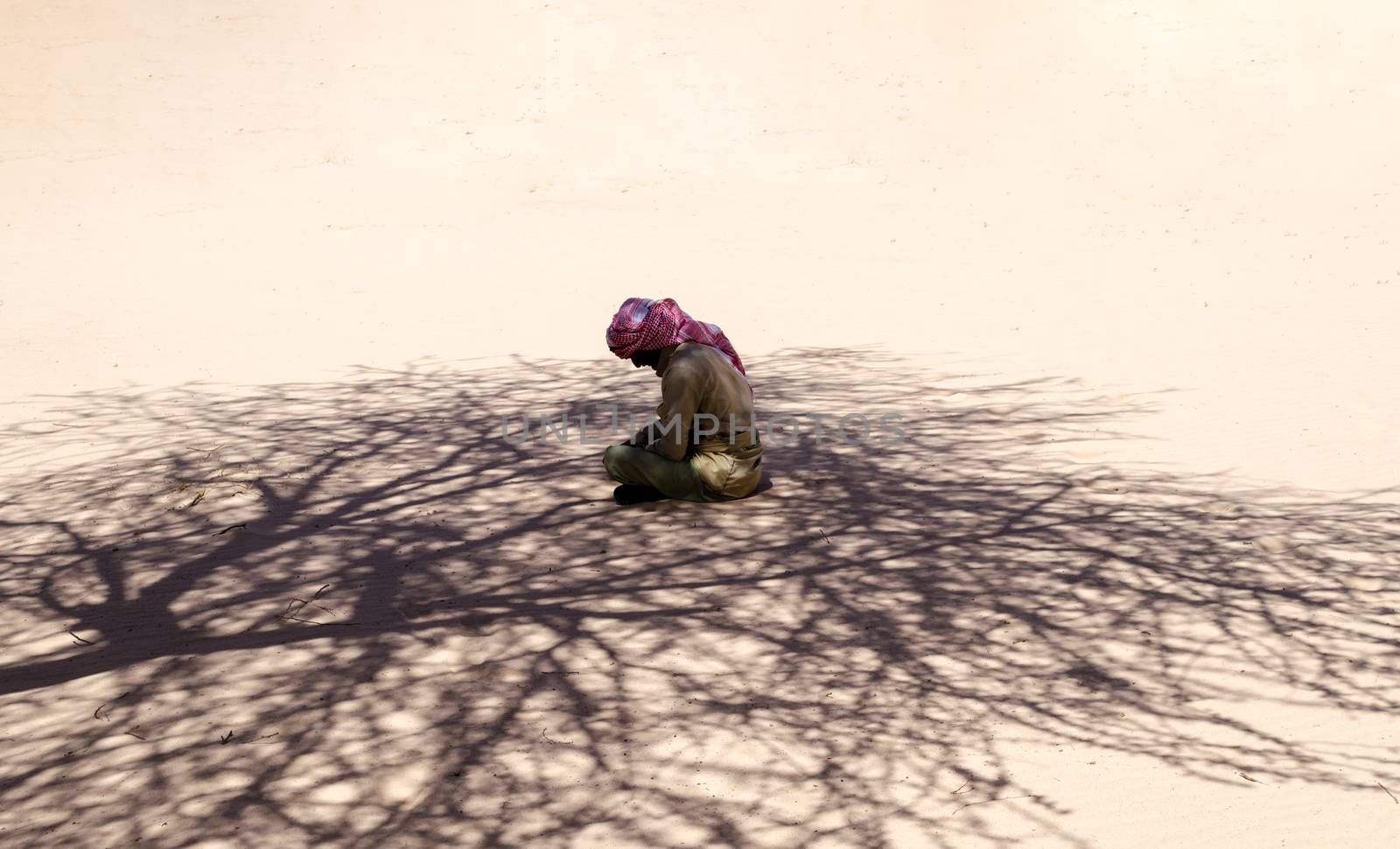 bedouin sits and prays in the sand in the shade of a tree in the desert