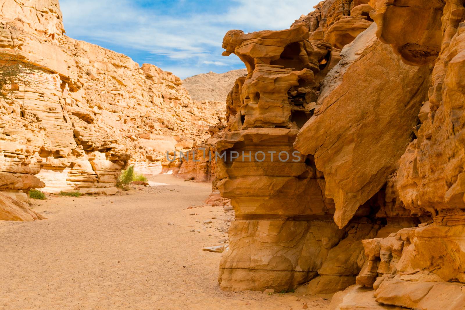 colored canyon in the desert in Egypt