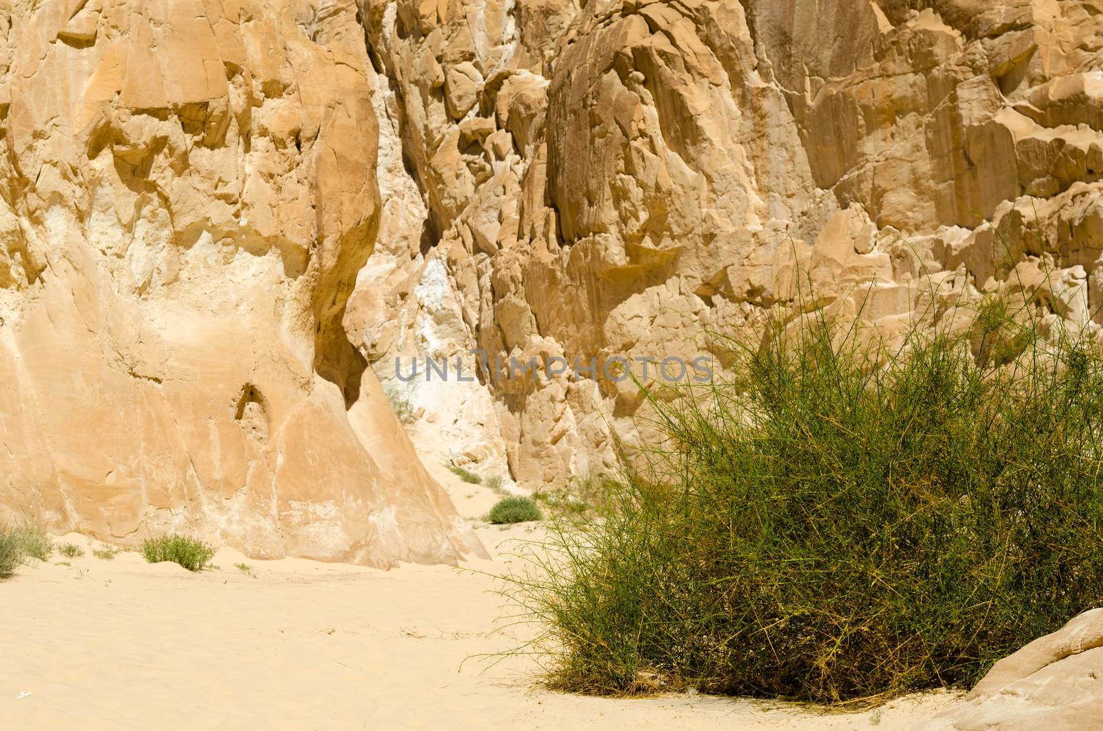 high rocky mountains and green bush in the canyon in Egypt Dahab