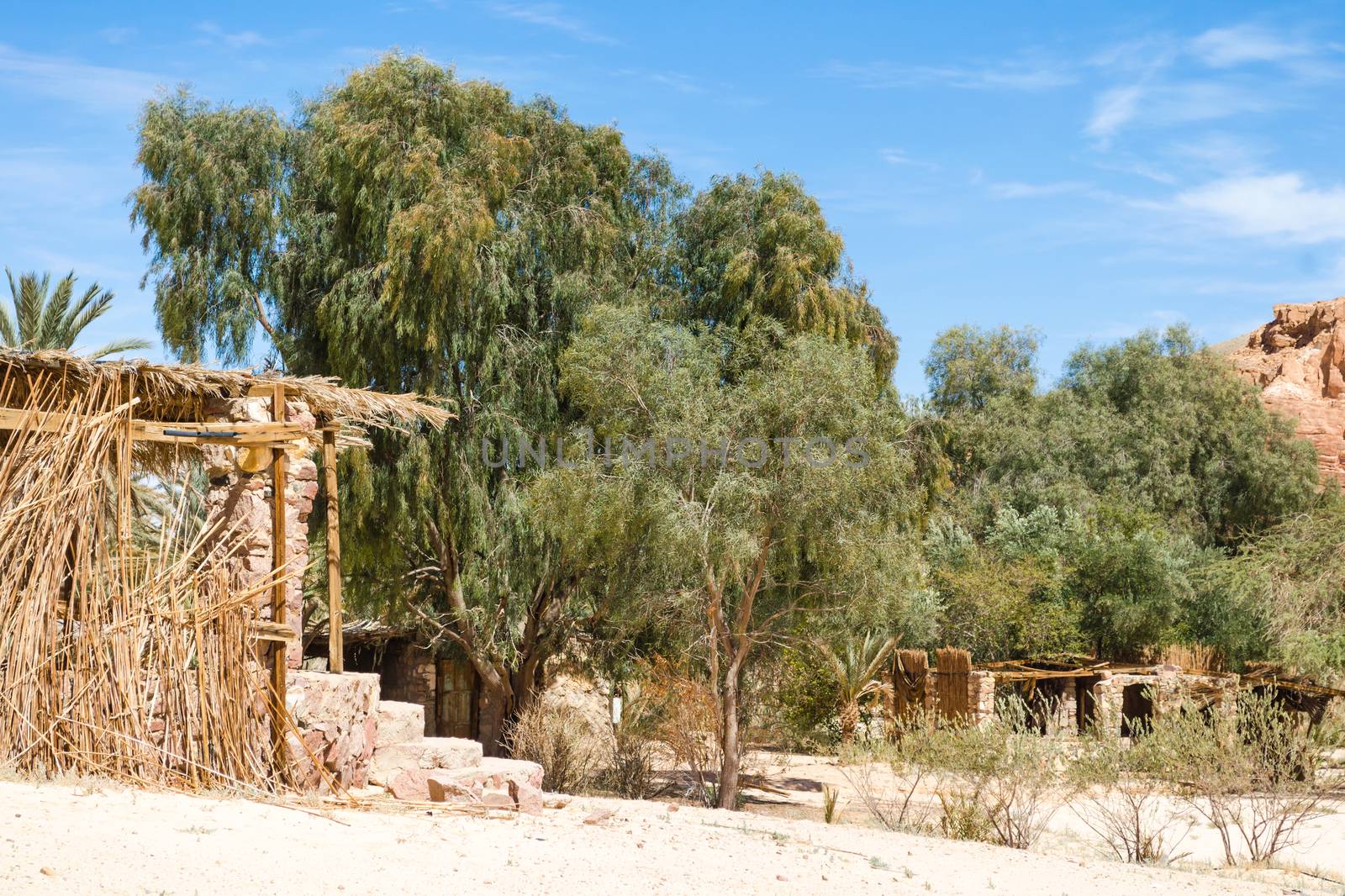 dwelling bedouin in an oasis in the desert among the mountains in Egypt Dahab