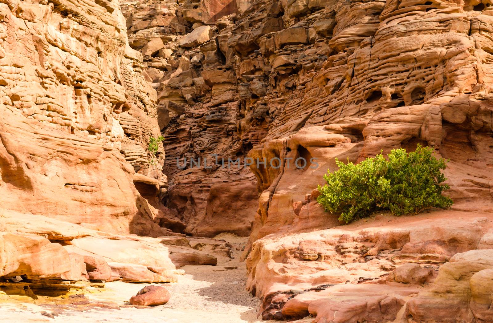 colored canyon in the desert in Egypt