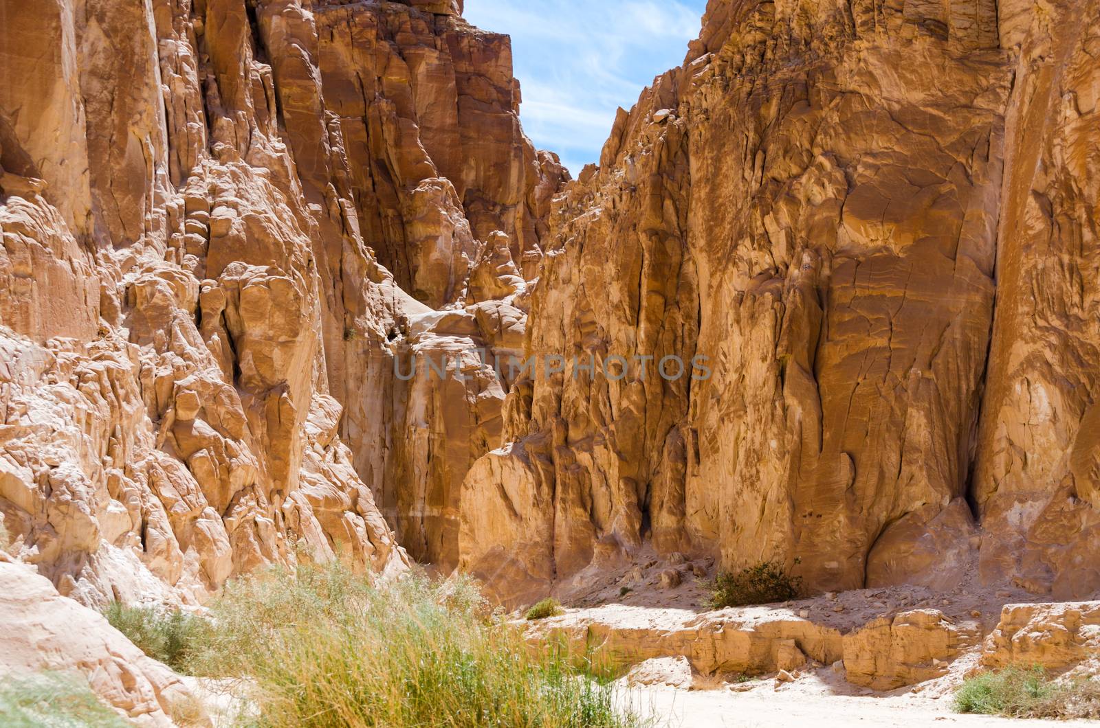 desert canyon with high stone cliffs and green plants in Egypt Dahab