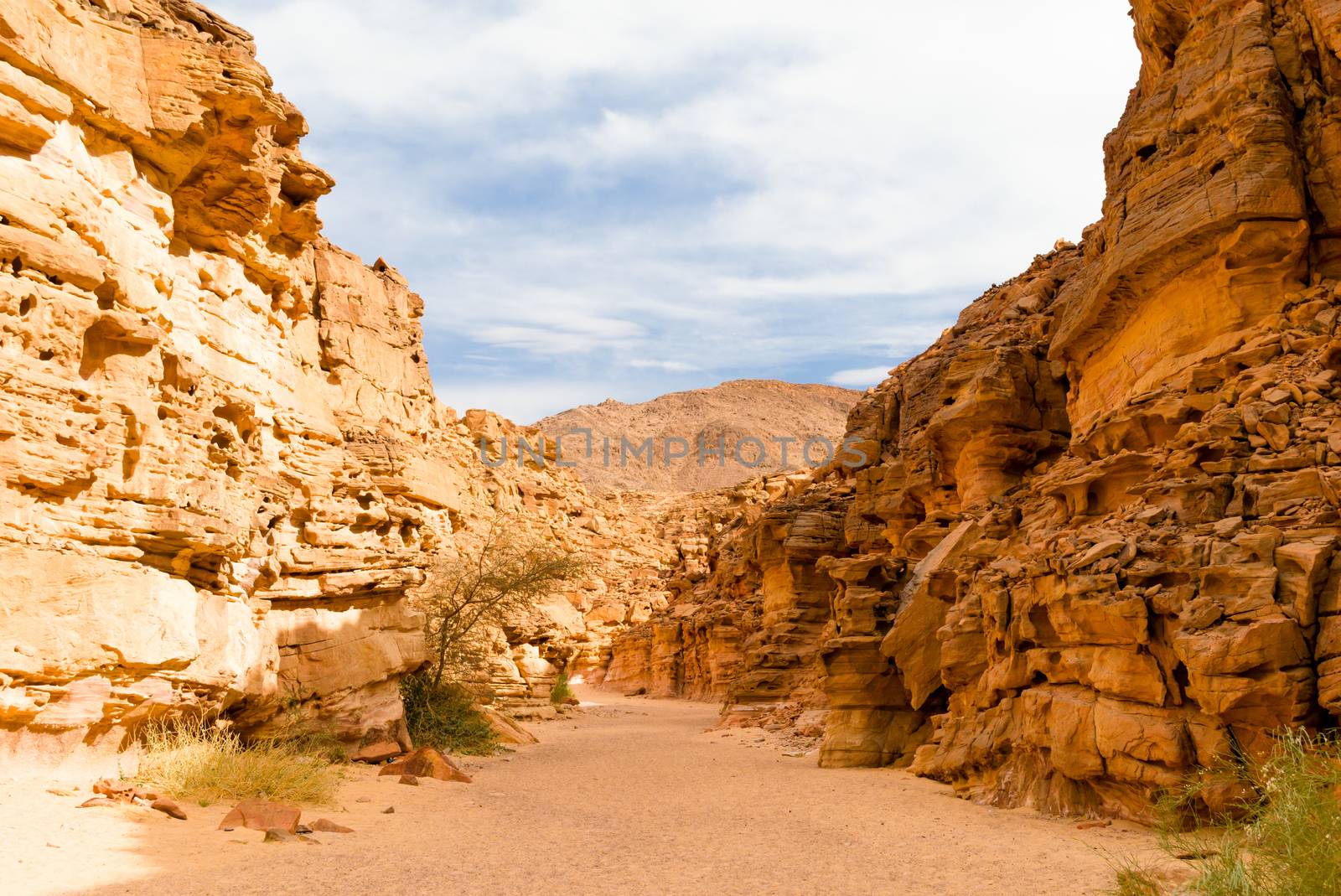 colored canyon in the desert in Egypt
