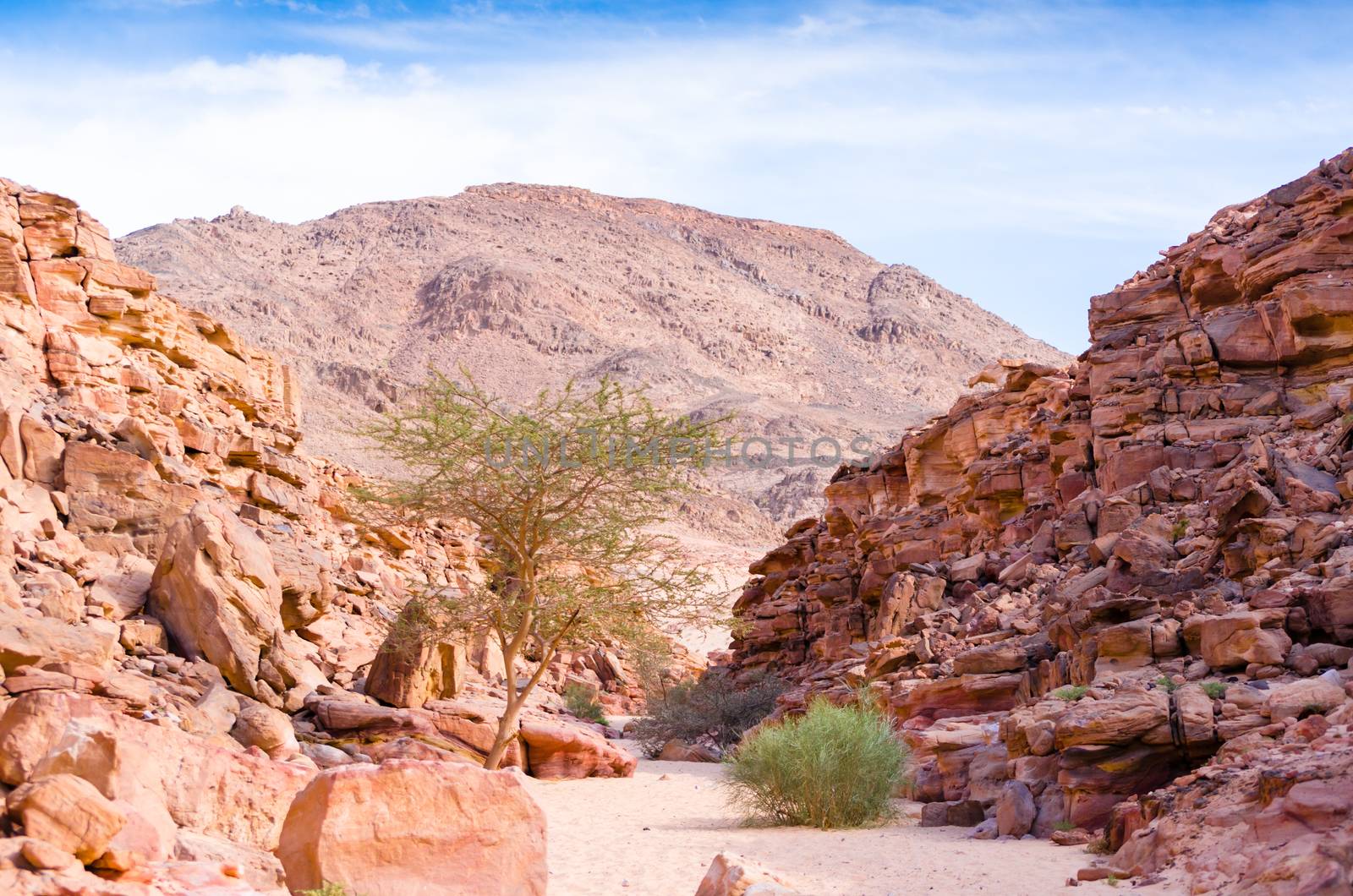 colored canyon in the desert in Egypt