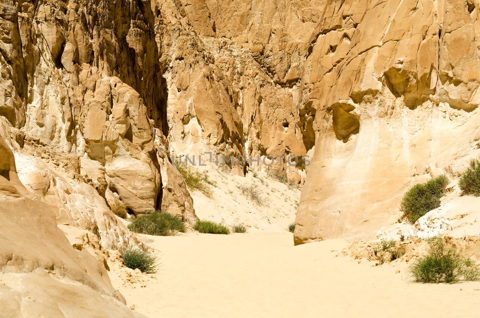 high rocky mountains and green bush in the canyon in Egypt Dahab