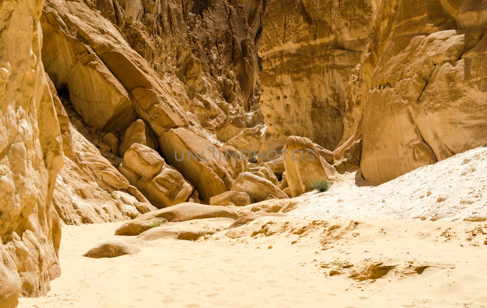 high rocky mountains and green bush in the canyon in Egypt Dahab