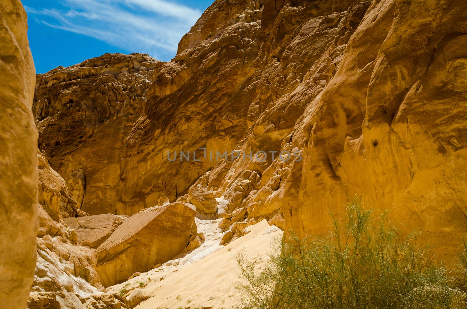 high rocky mountains and green bush in the canyon in Egypt Dahab