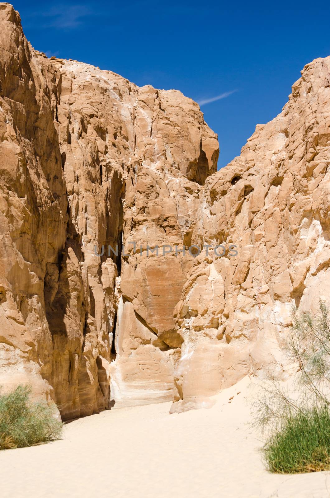 high rocky mountains and green bush in the canyon in Egypt Dahab
