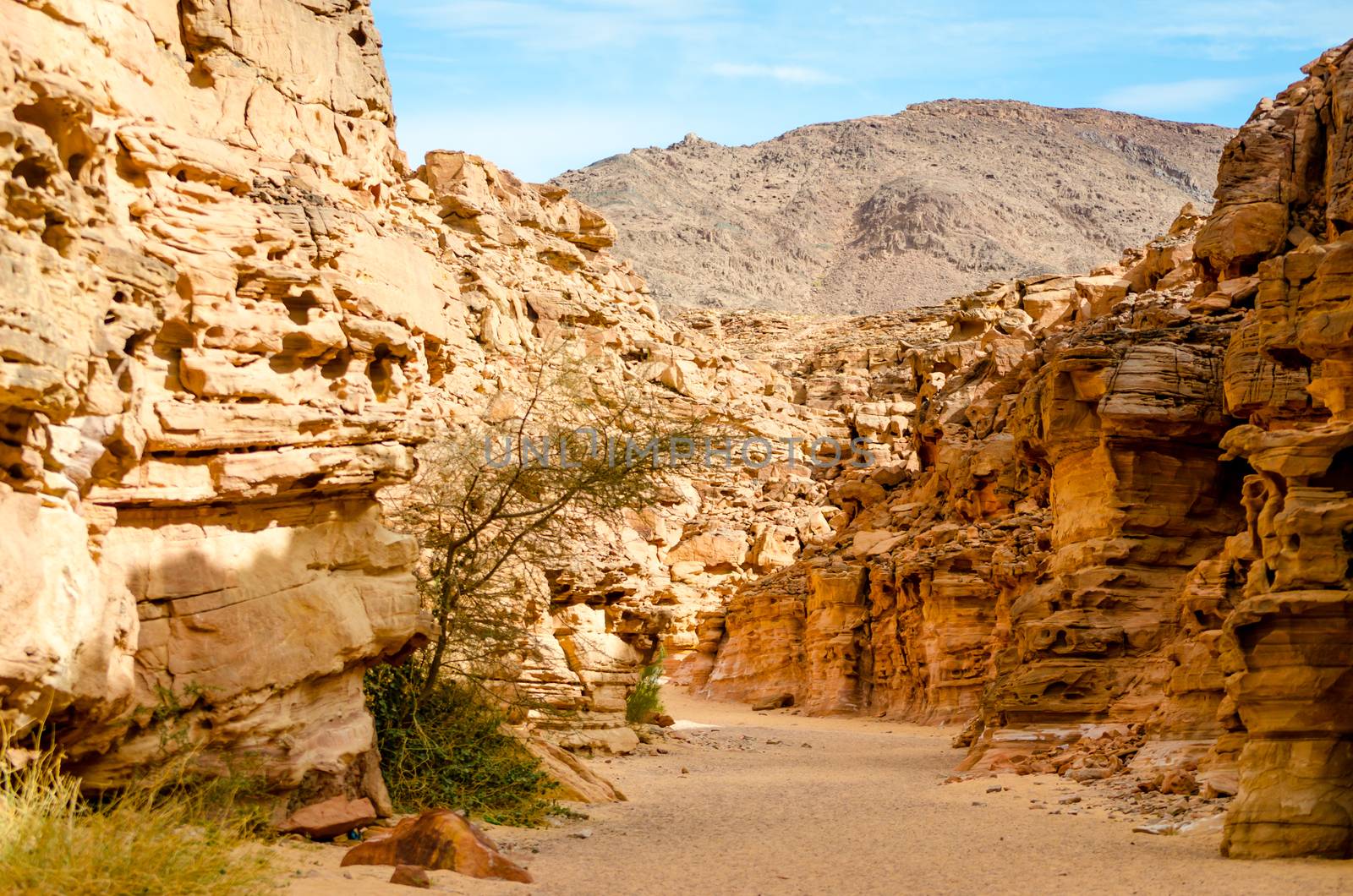 colored canyon in the desert in Egypt