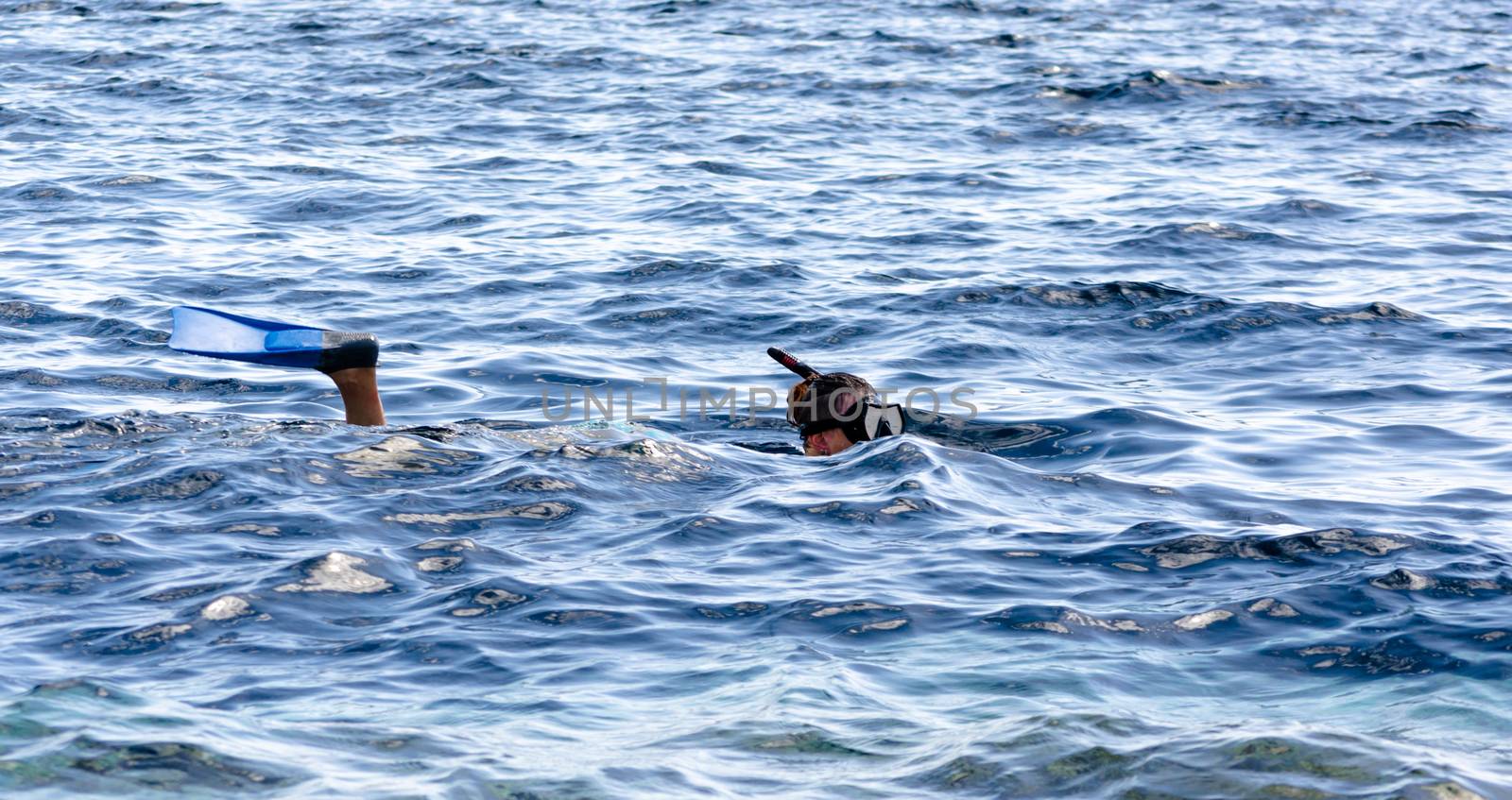 young girl in a swimming mask and snorkeling swims in the sea in Egypt Dahab