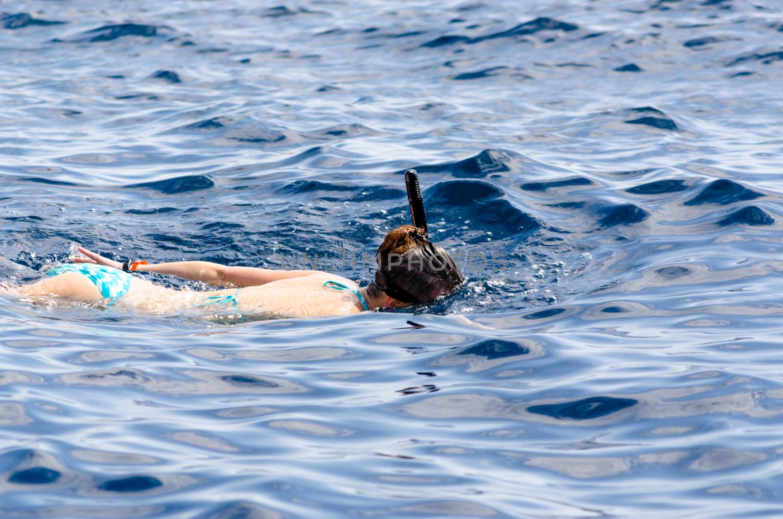 young girl in a swimming mask and with a tube swims in the sea in Egypt Dahab