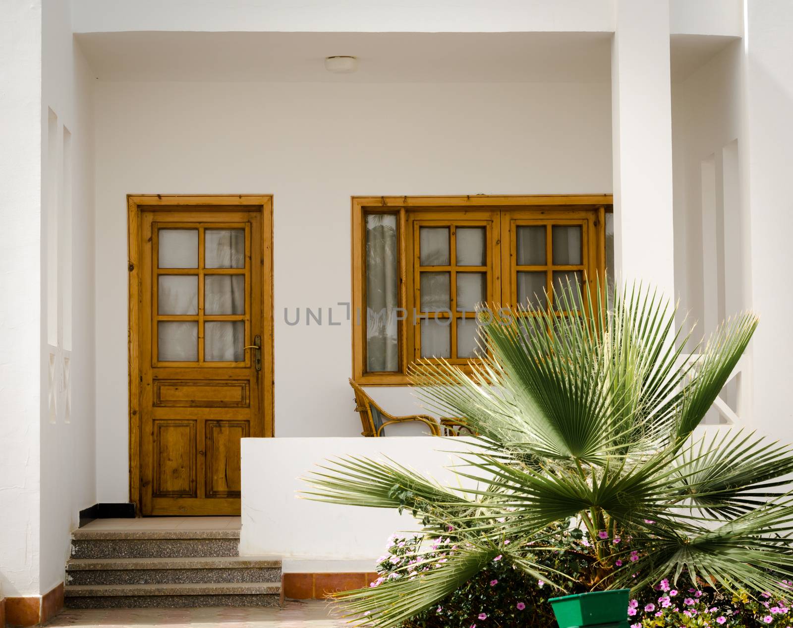 white resort house with a green tropical plant nearby