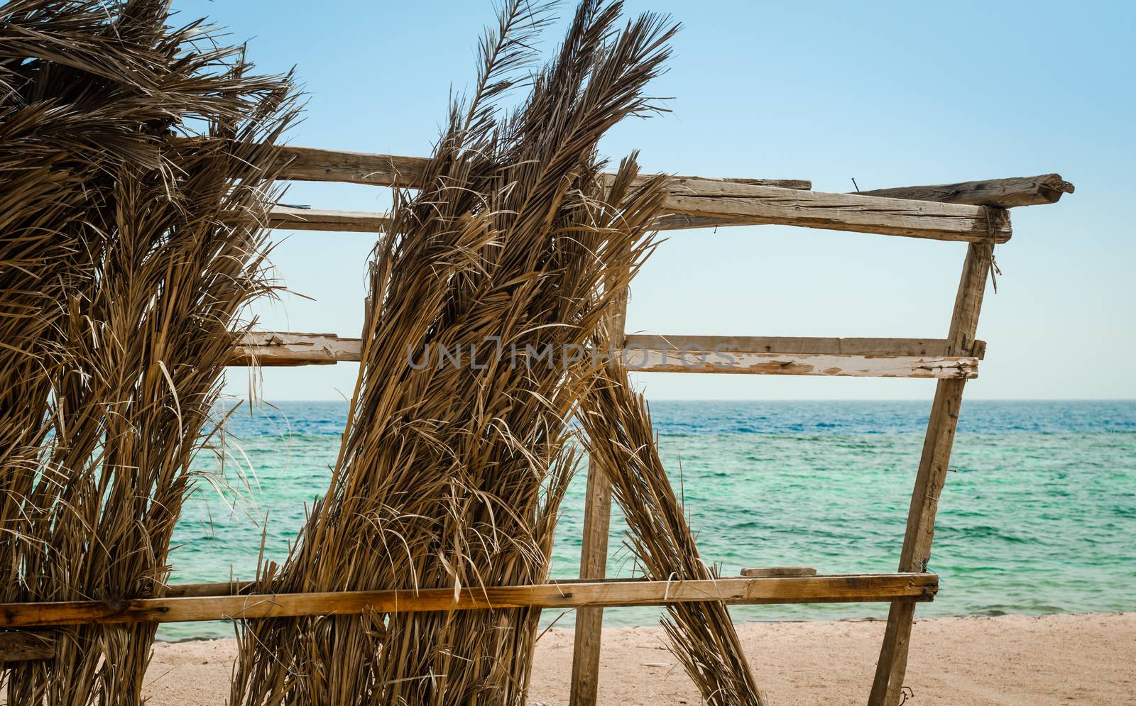 dry palm branches on the background of the sea and clear sky closeup