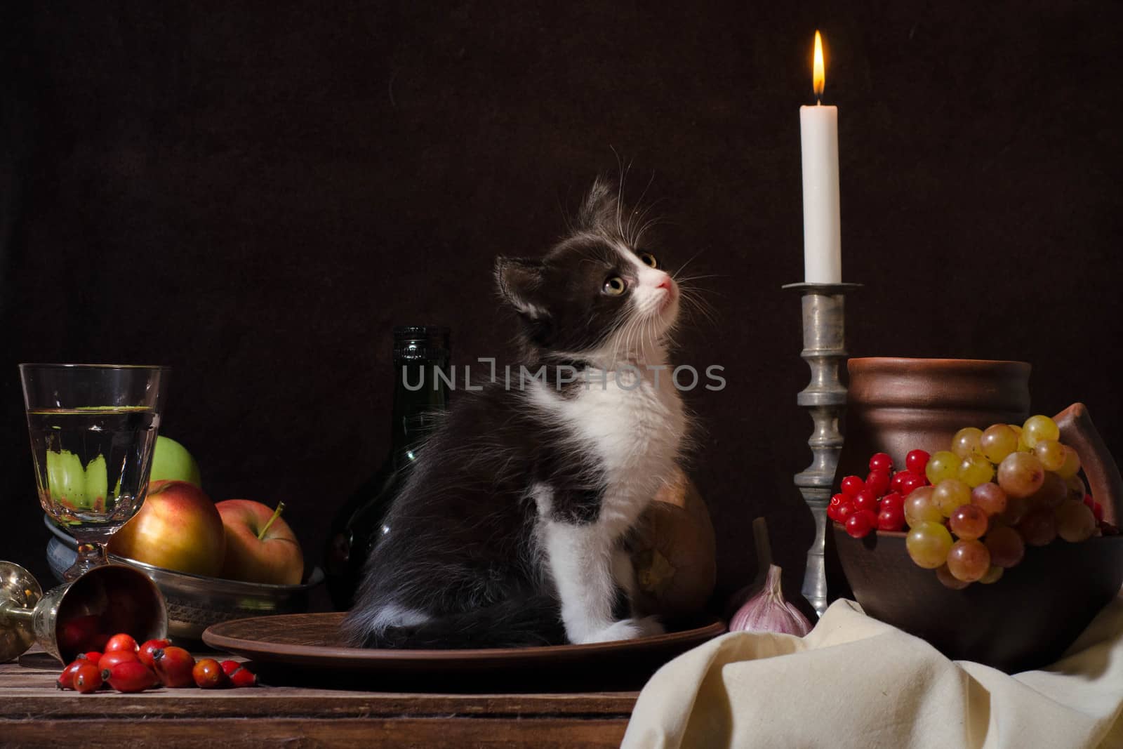 still life of black and white kitten sitting in a clay plate and looking at a burning candle on dark background