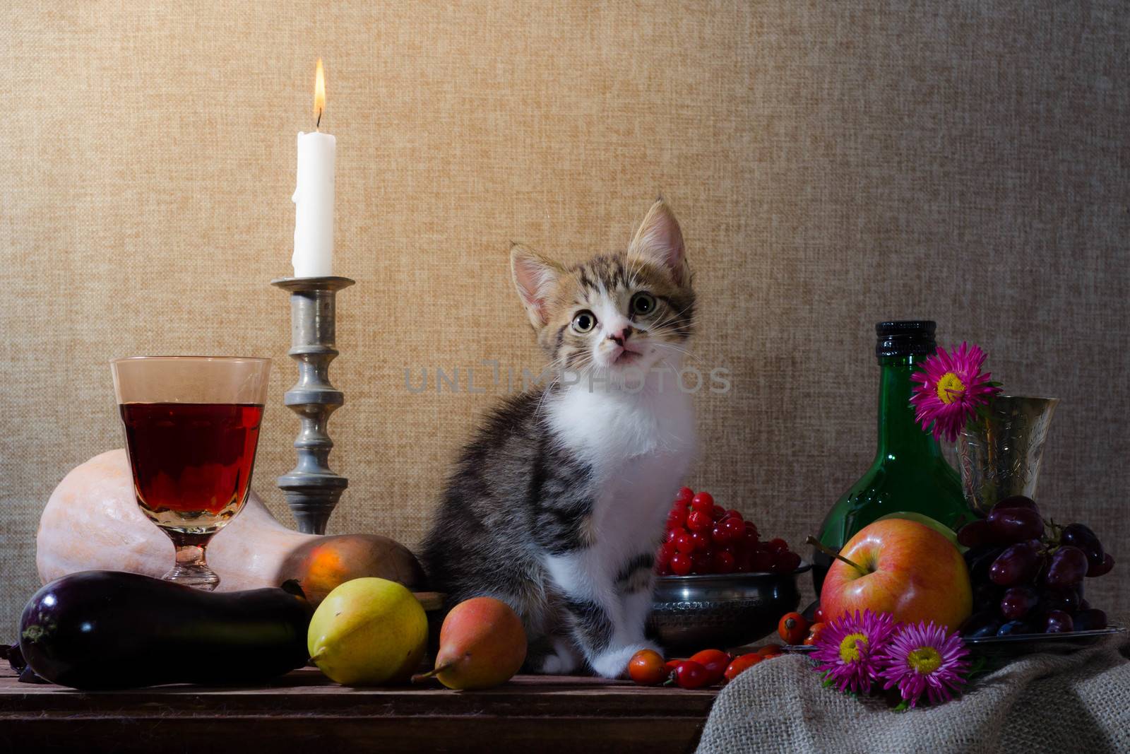 rustic still life with kitten pumpkin grapes dog rose green bottle grapes viburnum apples glass and tin glasses and a burning candle in a candlestick