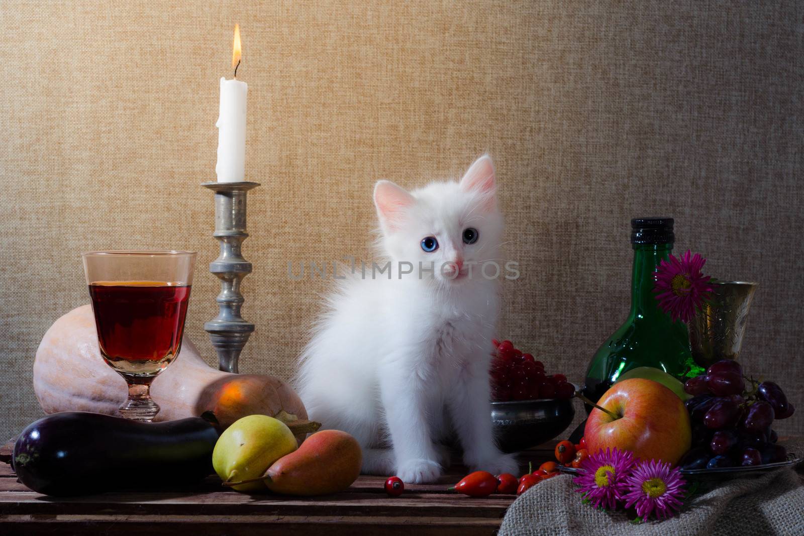 rustic still life with white kitten pumpkin grapes dog rose green bottle grapes viburnum apples glass and tin glasses and a burning candle in a candlestick.