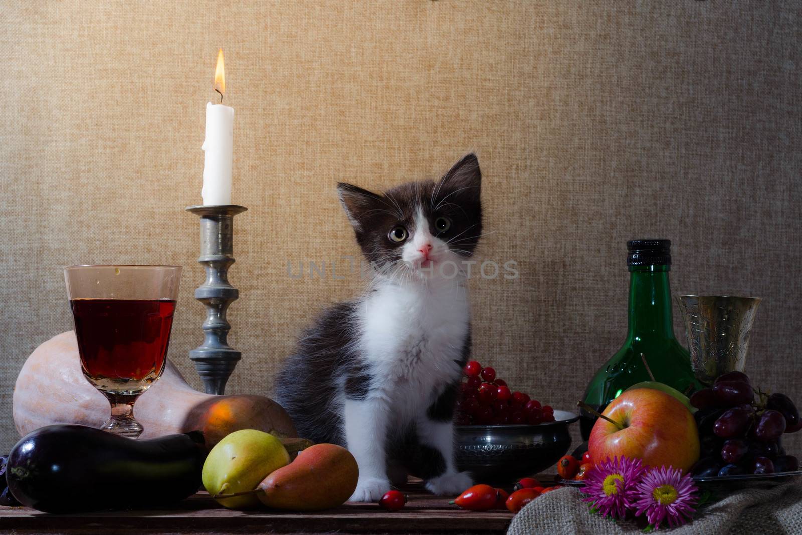rustic still life with black and white kitten pumpkin grapes dog rose green bottle grapes viburnum apples glass and tin glasses and a burning candle in a candlestick.