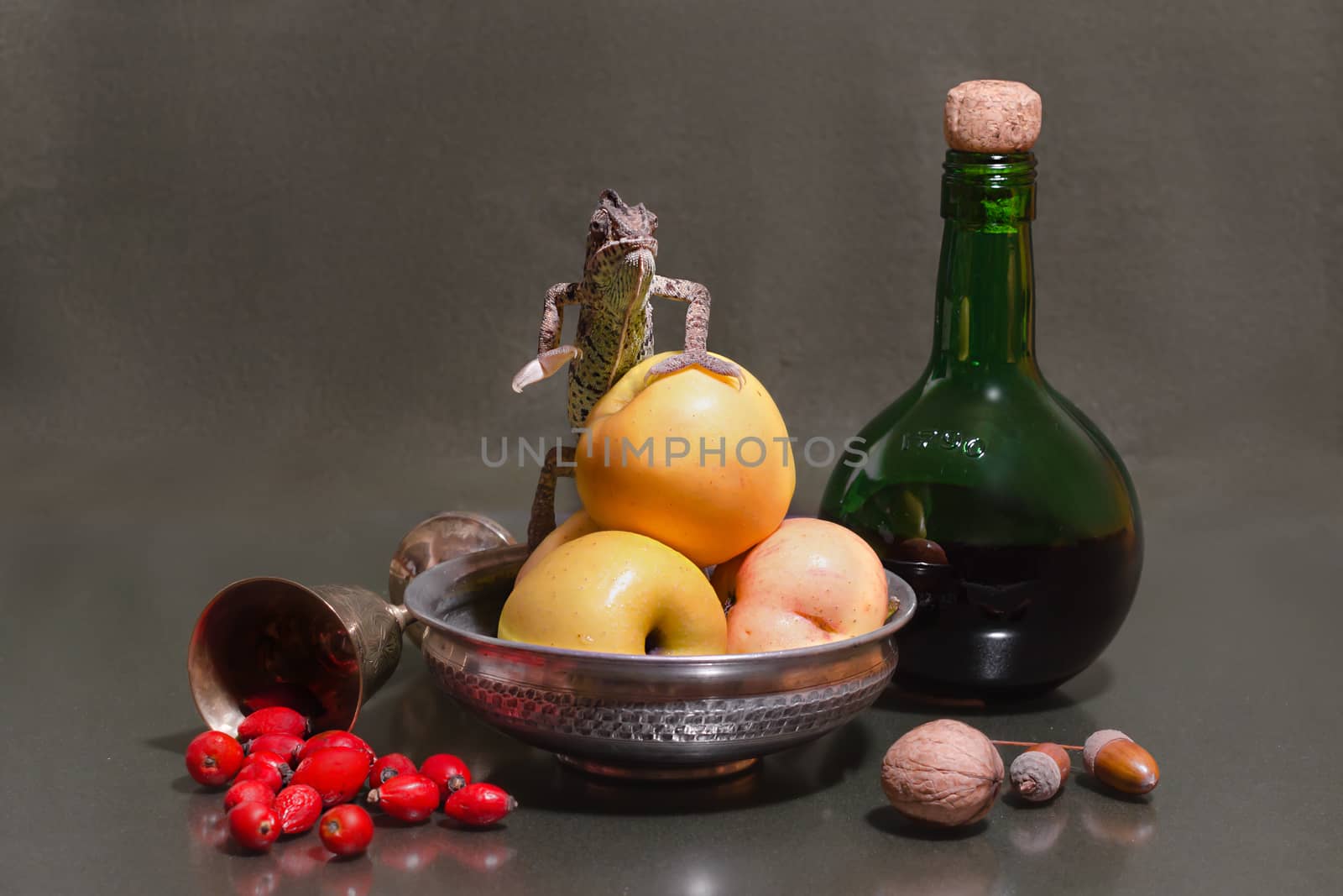 still life with a striped female Yemeni chameleon sitting on a green apple next to a green bottle and melchior glass