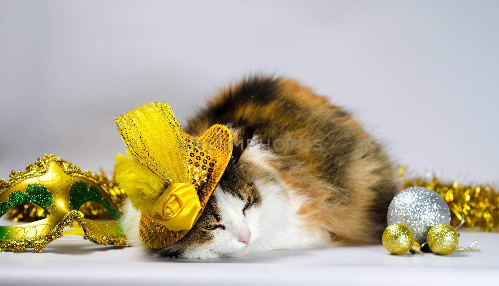 wicked cat in a yellow carnival hat with sequins bow and a feather next to a mask and Christmas balls