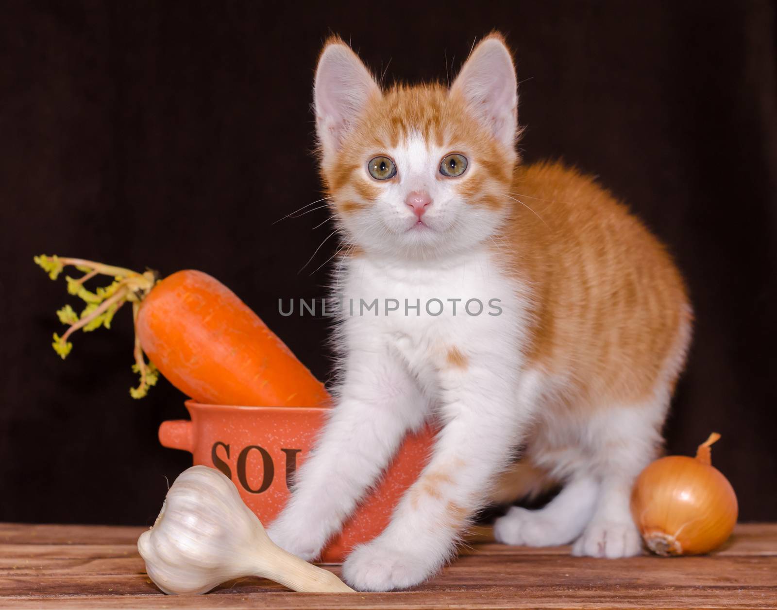 small red tabby kitten is sitting on the rough wooden boards of the table next to an orange bowl for soup and carrots with a green top, onion and garlic head on a dark background