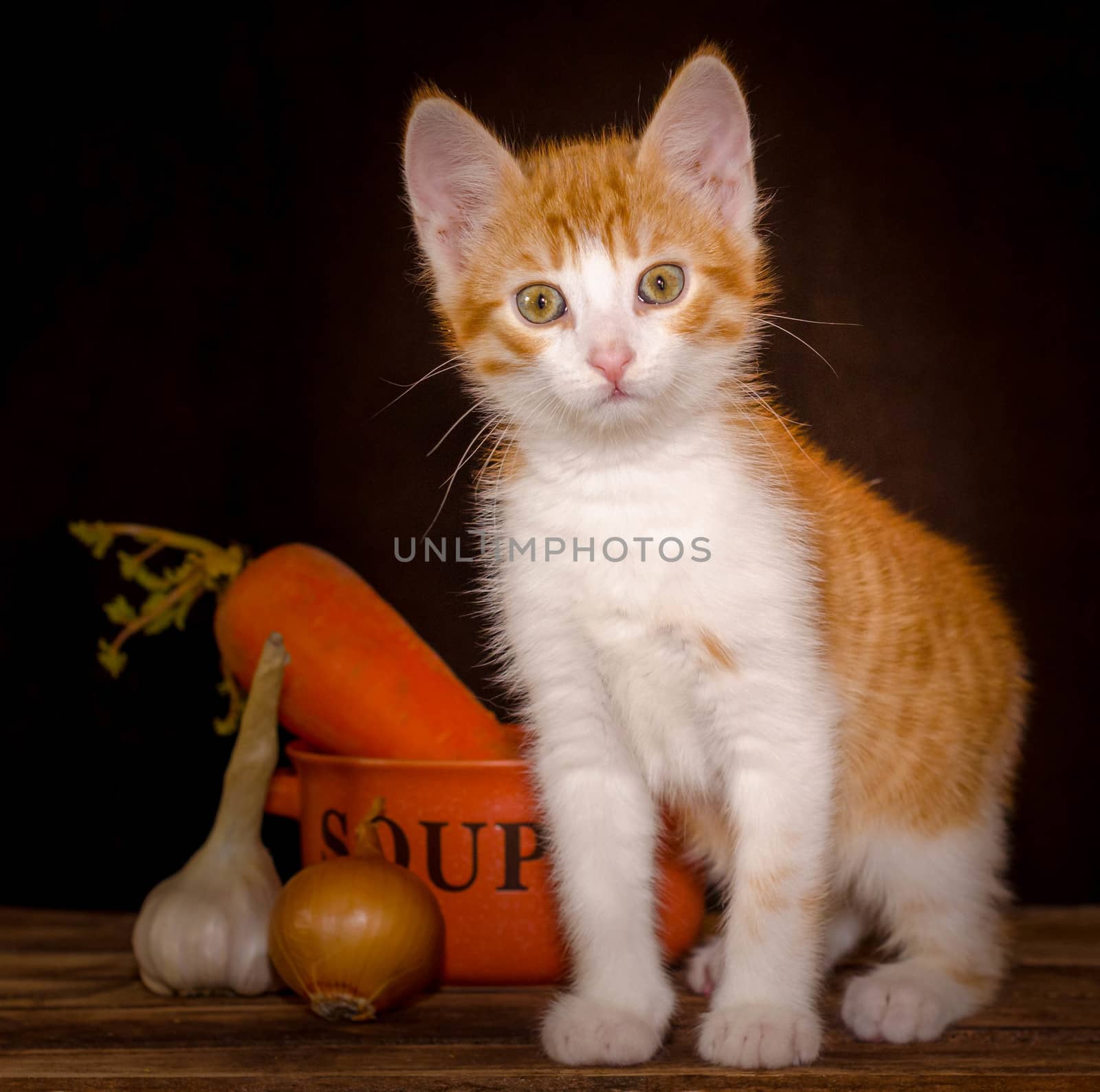 surprised small red kitten is sitting on the rough wooden boards of the table next to an orange bowl for soup and carrots with a green top, onion and garlic head on a dark background