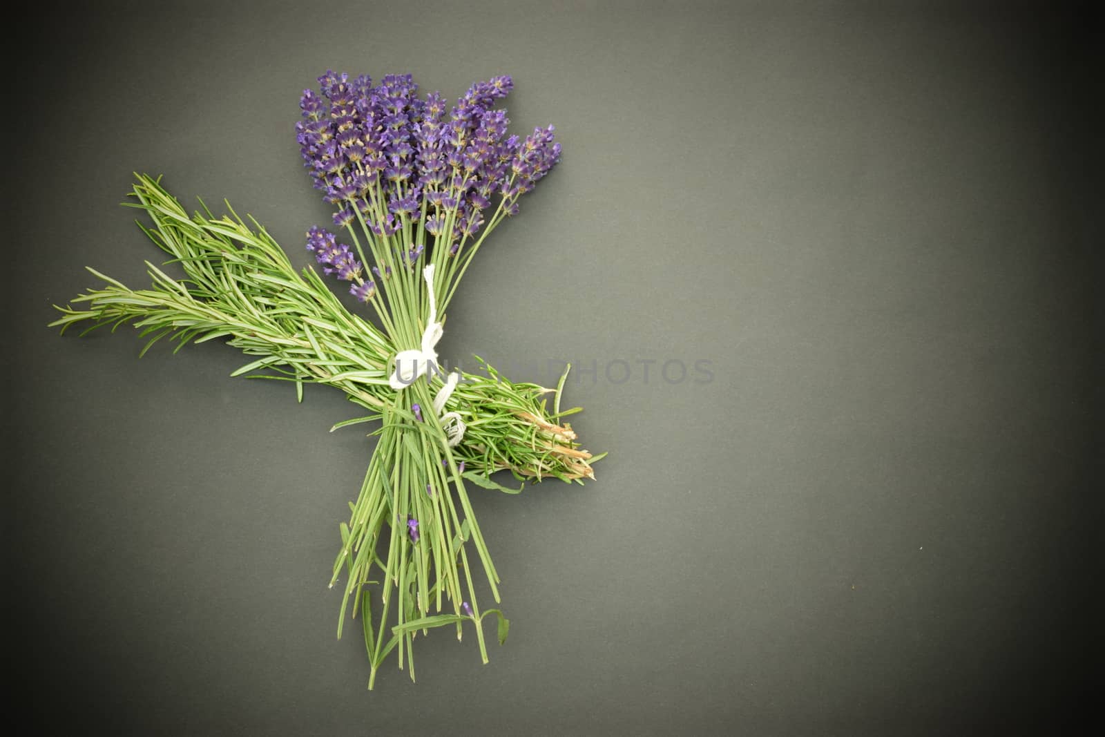 Bunch of handpicked Rosemary and lavender by sarahdavies576@gmail.com