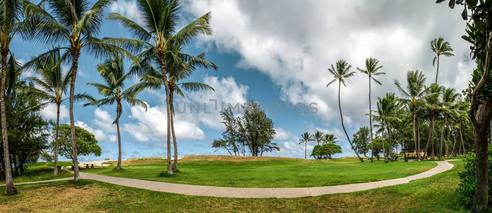 Grass beatch at Hawaii by mikelju