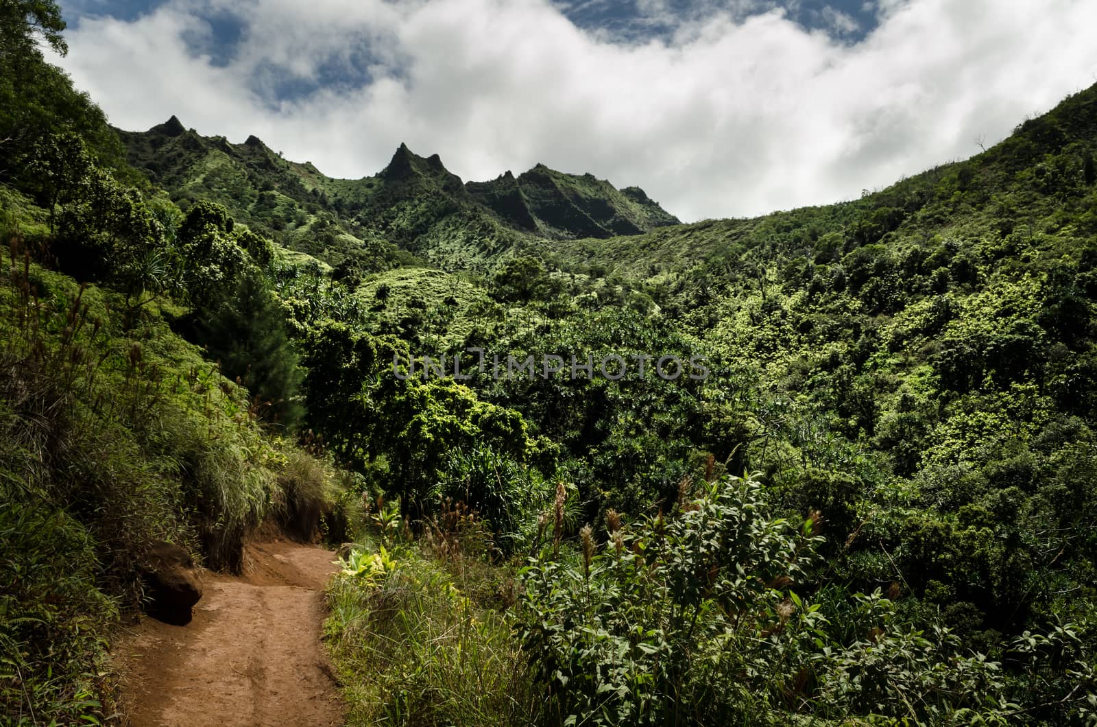 Impressive rainforest and mountain peaks in Kalalau trail, Kauai, Hawaii