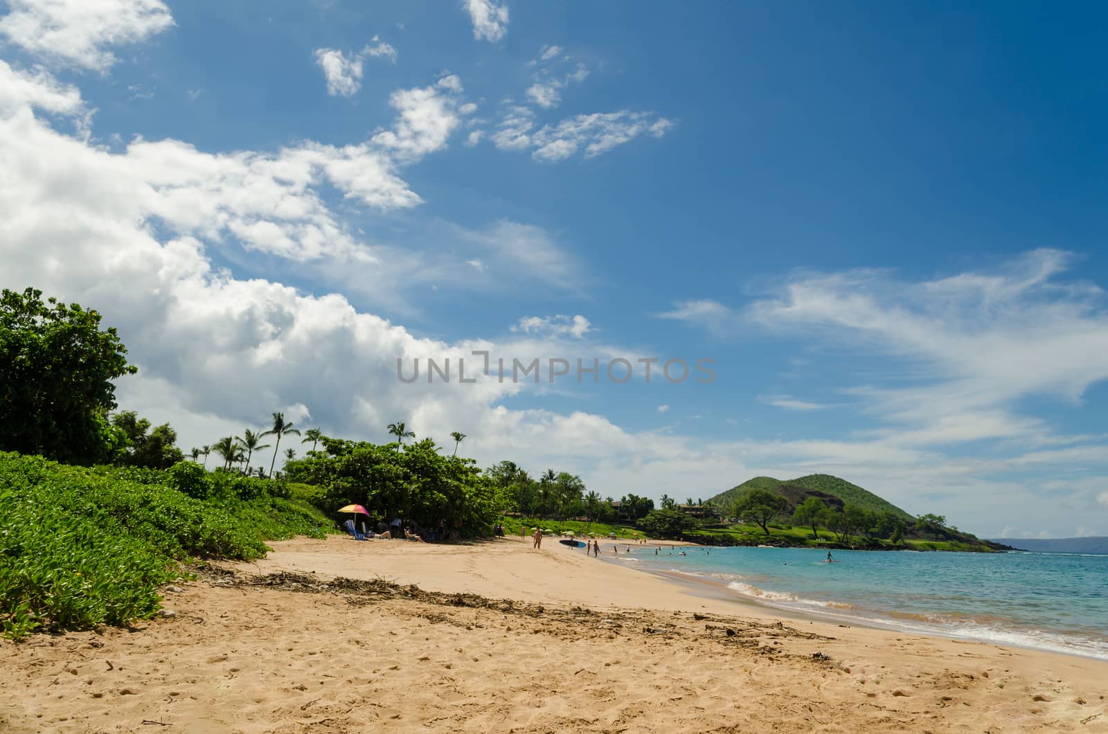 Paradisiac beach full of green vegetation in Hawaii