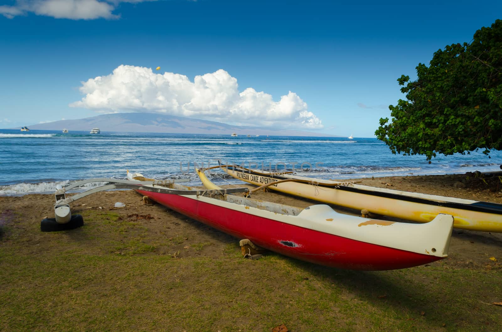 Hawwaian red canoe in a green beach in fron of the sea and a far mountain