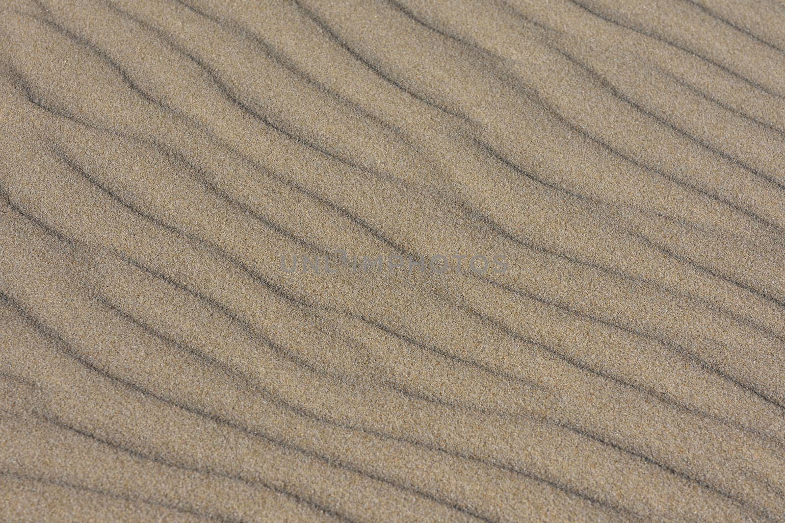 Undisturbed flowing ripples in soft beach sand, Mossel Bay, South Africa