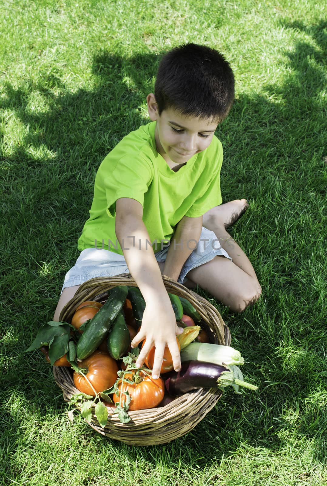 Child and basket with vegetables. Green meadow