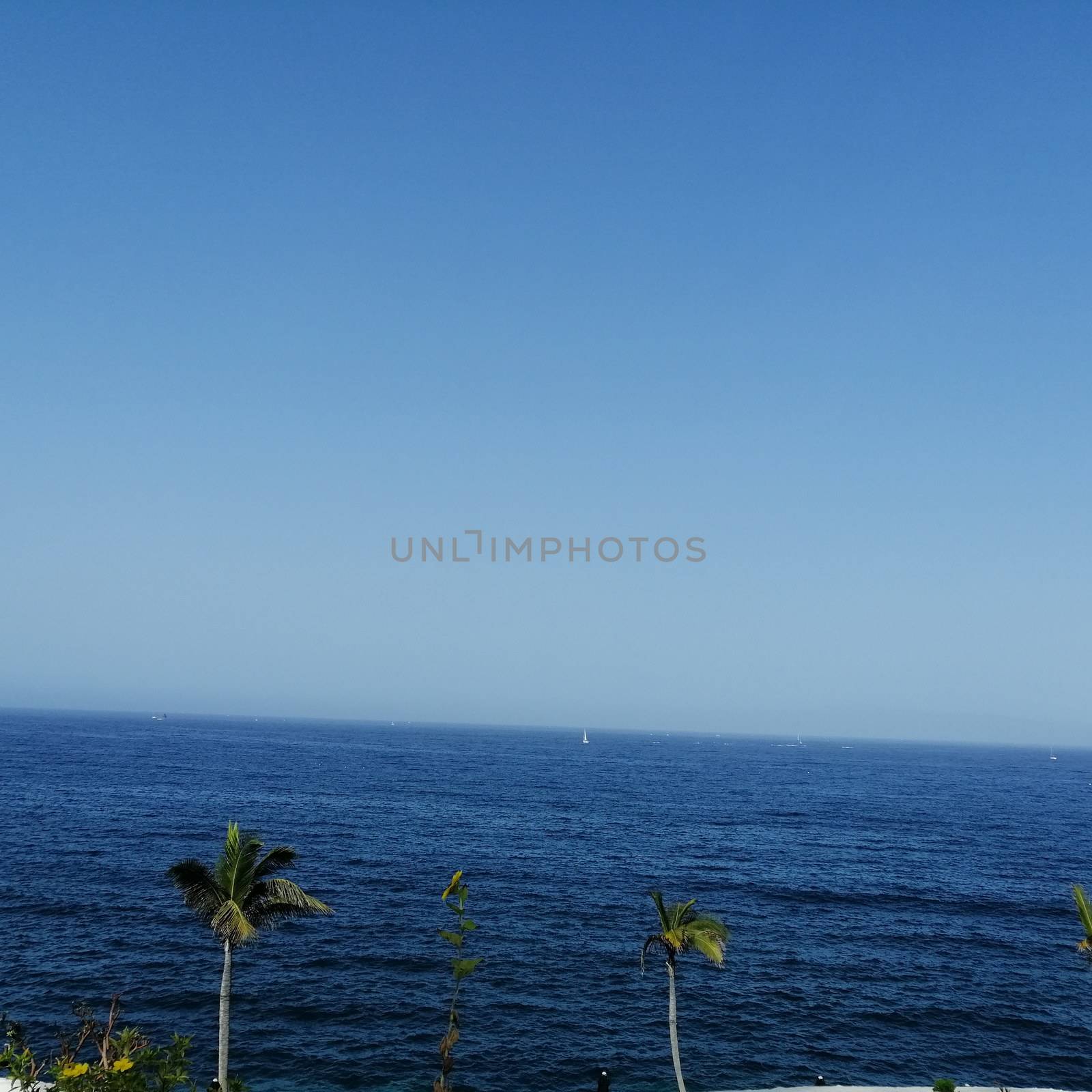 Tropical beach with palm trees in las Americas, Tenerife,Canary Islands. Summer vacation or travel concept.