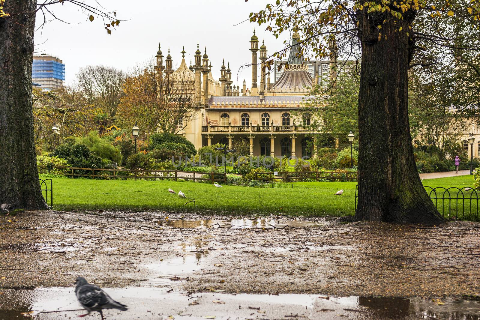 Historic Royal pavillion in Brighton UK by ankarb