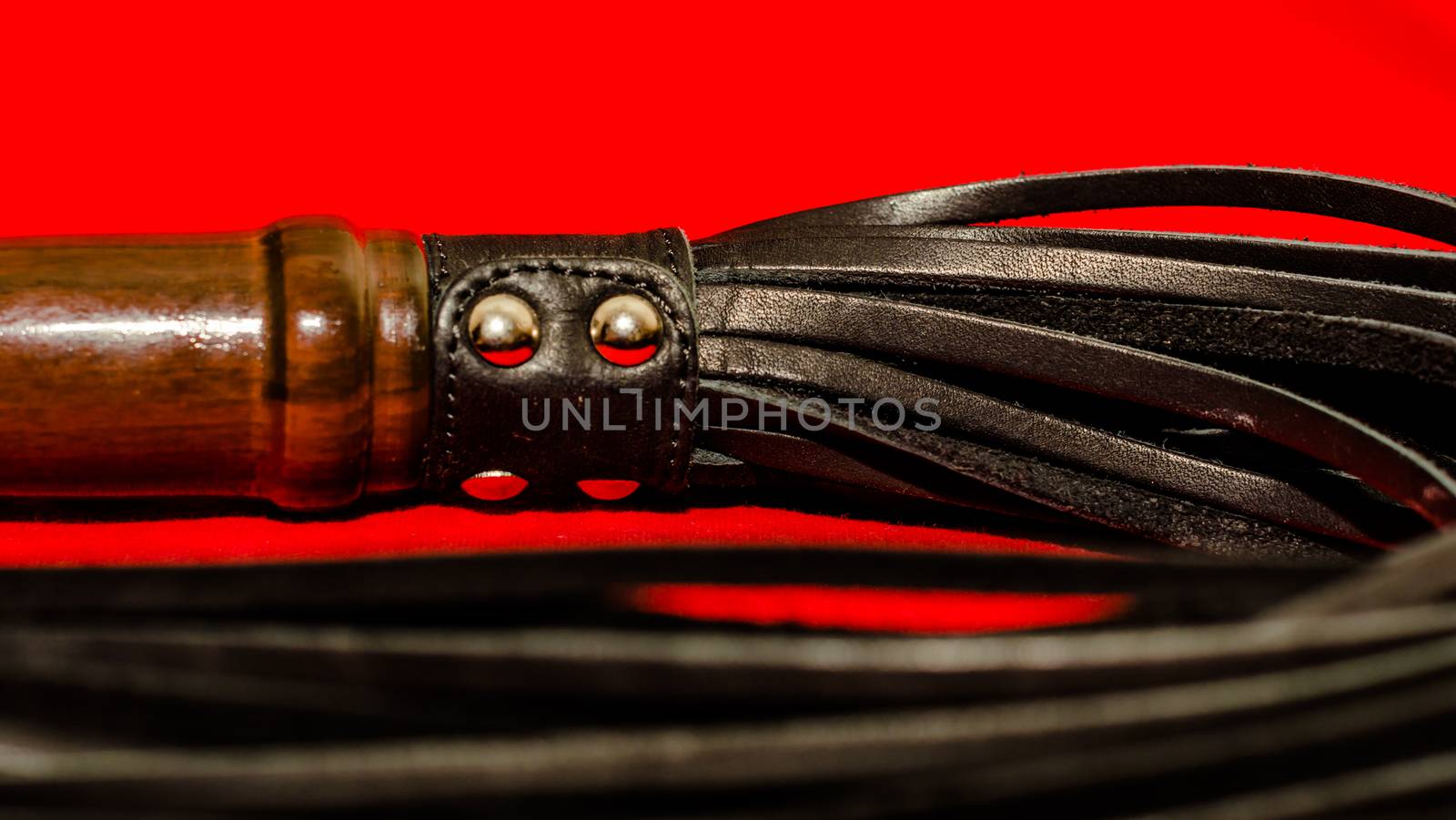 bdsm attribute black leather lash on a red background close-up