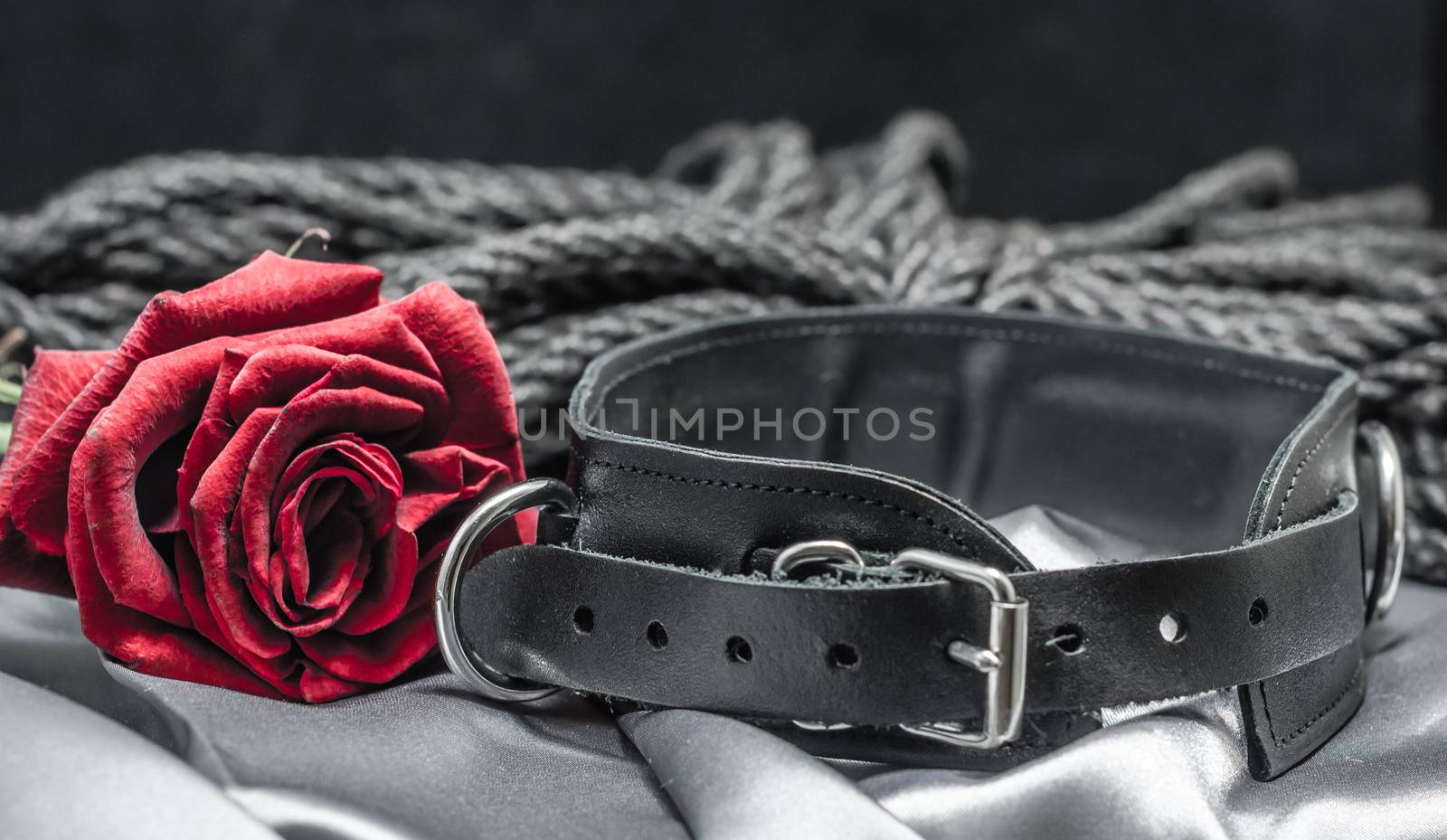 bdsm still life, black human collar, scarlet rose, hank of black rope for shibari on a gray sheet on a black background