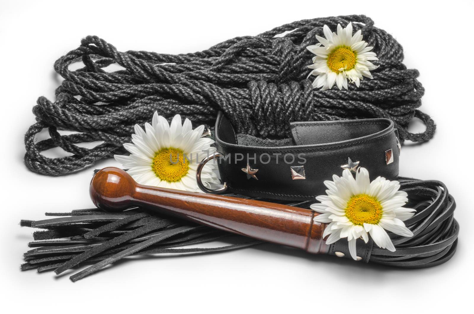 bdsm leather lash and black collar with shibari rope and yellow daisy flowers on a white background