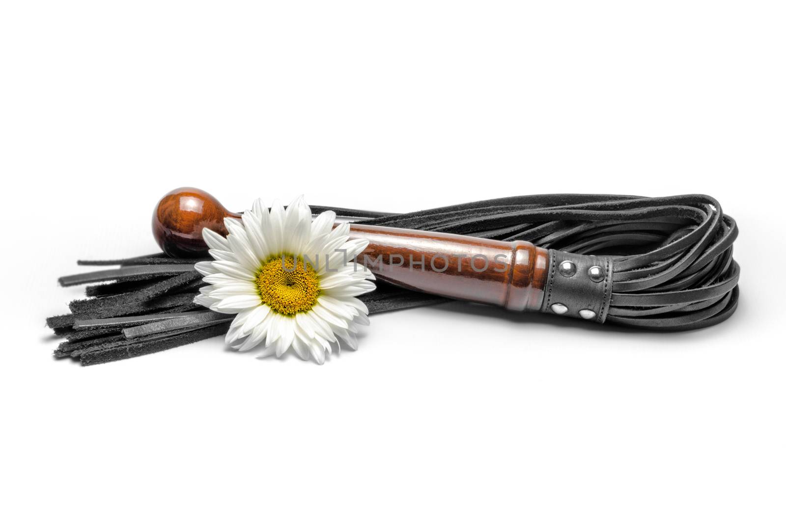 bdsm leather black lash and yellow daisy flowers on a white background