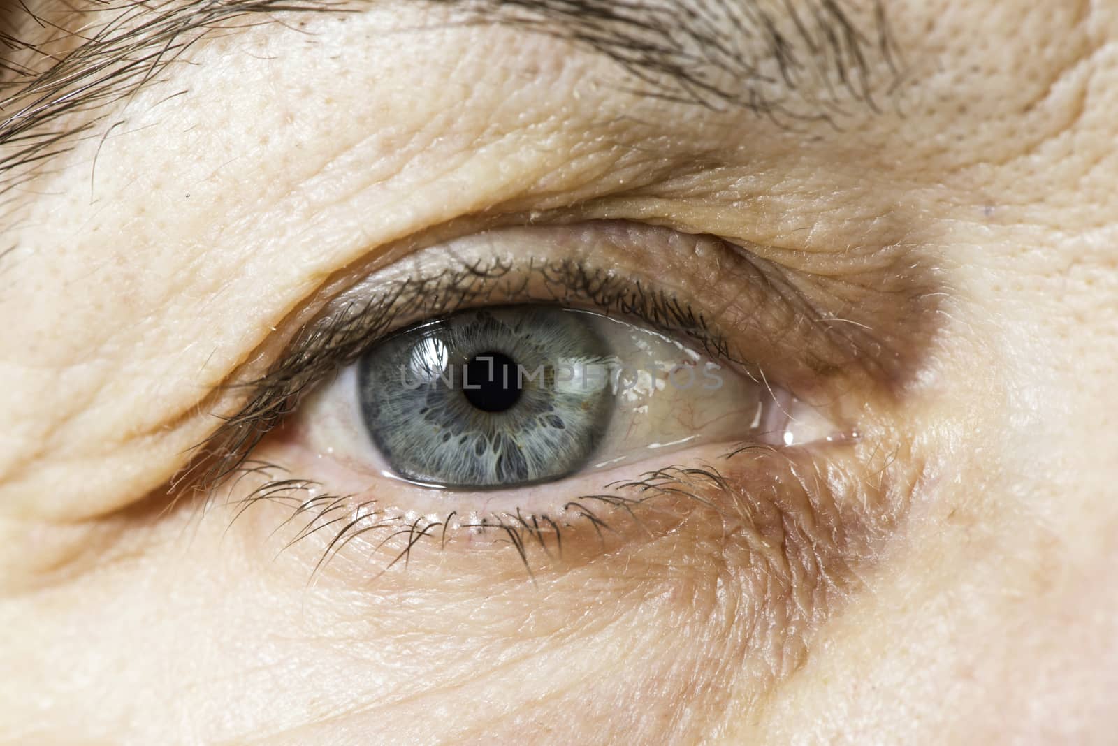 Close up old women blue eye